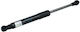 Gasfeder 5-Türer Audi A3 Cabriolet 08-13 LP 8P7827552C