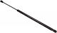 Maxgear Kofferraum-Schock Renault Modus F Jp0 04 8200219322