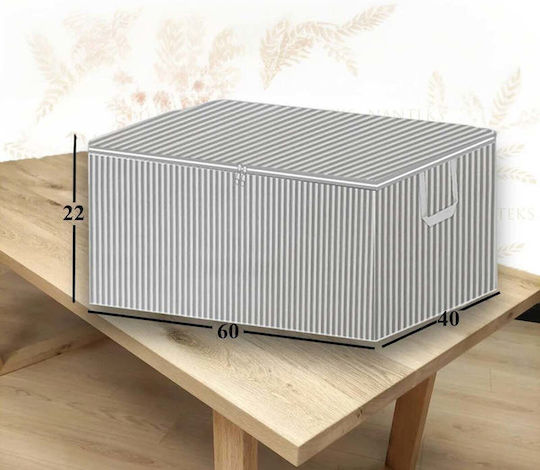SteweHome Clothing Storage Case for Clothes / Blanket/Duvet / Knitwear 60x40x22cm 8pcs