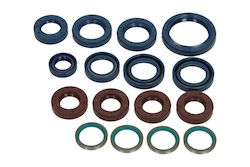 Centauro Motoröl Dichtungs Satz Für Ducati 916 Monster S4 2001-2002 17 Stück Centauro Motoröl Dichtungs Satz Für Ducati 916 Monster S4 2001-2002 17 Stück