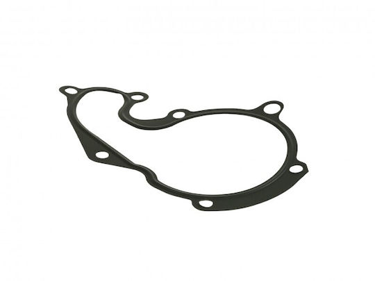 Fast Wasserpumpe Dichtung Ford Transit Connect 02 1.8 Tdci 1 113 213