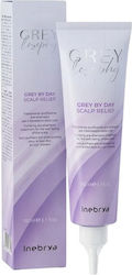 Inebrya Grey By Day Mască De Păr 150ml