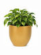 Metall Pflanzentopf Gold 16x16x15,5cm