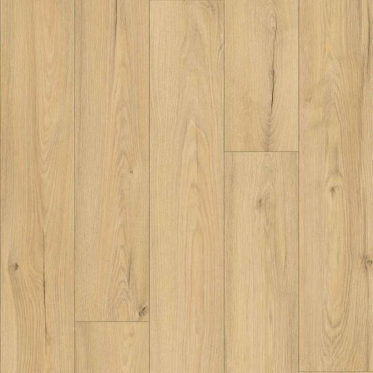 Laminate 8mm Ac5/33 4v K793 Oak Paroli