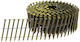 Makita F-31317 Nail 4050 Pcs