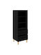 Wand Wohnzimmer Vitrine aus Spanplatte mit Verglastem Schwarz 40x36x110cm