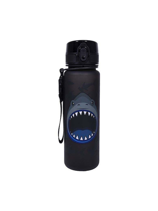 Vidro Sticlă De Apă Fără BPA 500ml Vidro Sticlă De Apă Fără BPA 500ml