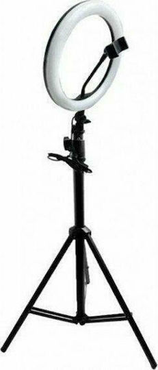 Andowl Ring Light 26cm 3200 - 5600K με Τρίποδο Δαπέδου και Βάση για Κινητό