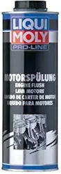 Liqui Moly Pro-line Spray Agent De Curățare A Motorului 1000ml Liqui Moly Pro-line Spray Agent De Curățare A Motorului 1000ml