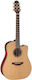 Takamine P3dc Dreadnought Natural Satin & Soft Case