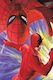 Spider-man Daredevil Paul Jenkins PB