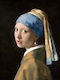 Poster Johannes Vermeer Girl Pearl Earring Art022 40cm X 50cm-56110pd156652