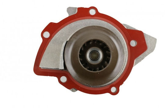 OE PSA Car Water Pump for Citroen C4