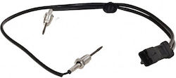 Fast Auto-Motorsensor Für Citroen Berlingo Fast Auto-Motorsensor Für Citroen Berlingo