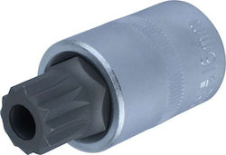 Condor Werkzeuge Bit Steckschlüssel 1/2" Mehrpunktöffnung M16 X 55 Mm Condor Werkzeuge Bit Steckschlüssel 1/2" Mehrpunktöffnung M16 X 55 Mm