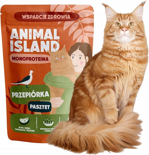 Animal Island Υγρή Τροφή για Γάτες με Ορτύκι 100gr