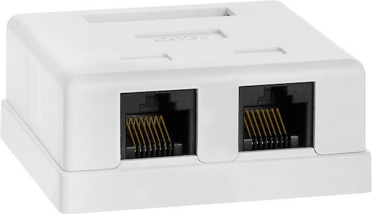 Lk-wp-032 Priză de rețea autoadezivă montare pe perete Cat.5e Utp dublă 2x Rj45 Alb Punch Down