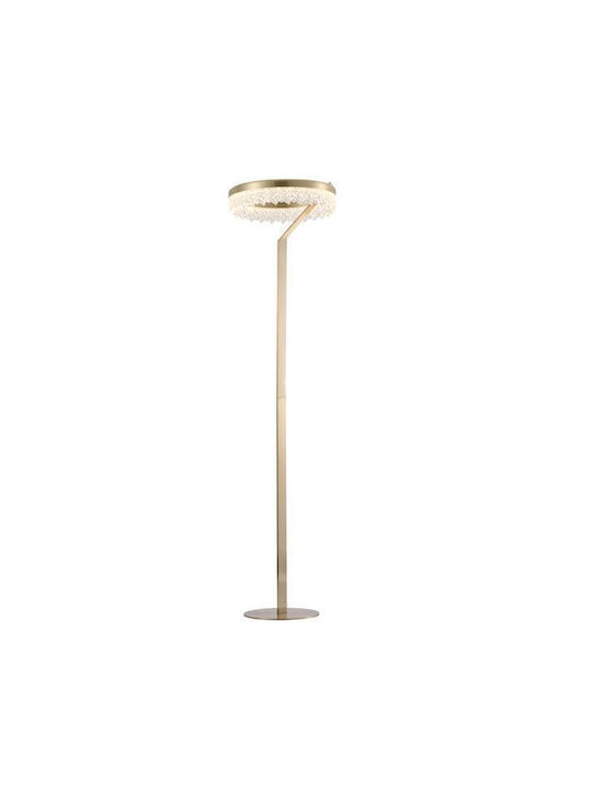 Eurolamp Arte Illumina Glory LED Floor Lamp H160xL40cm with Warm White Light 2100lm Gold