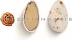 CHatzigiannakis Almond Sugared Almonds in Stand...