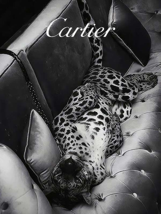 Poster Cartier Pst25179 40cm X 50cm-61622pd156408