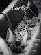 Poster Cartier Pst25179 40cm X 50cm-61622pd156408