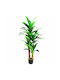 Изкуствено Растение Dracaena В Саксия 180см Sds-25982