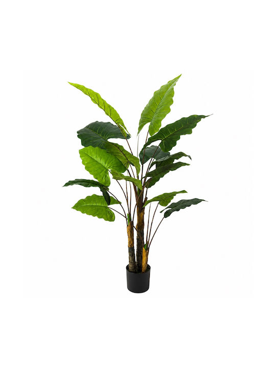 Künstliche Topfpflanze Streliczia 190cm Sds-25987