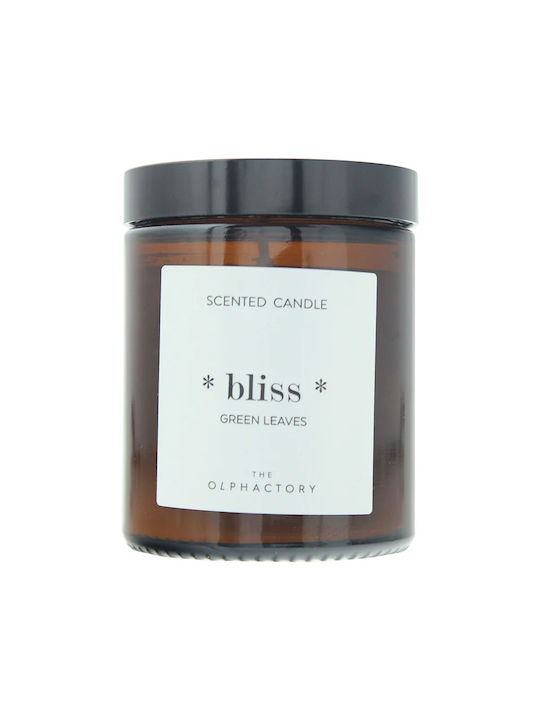 Lumânare Aromatică Olphactory Bliss Frunze Verzi 135 G