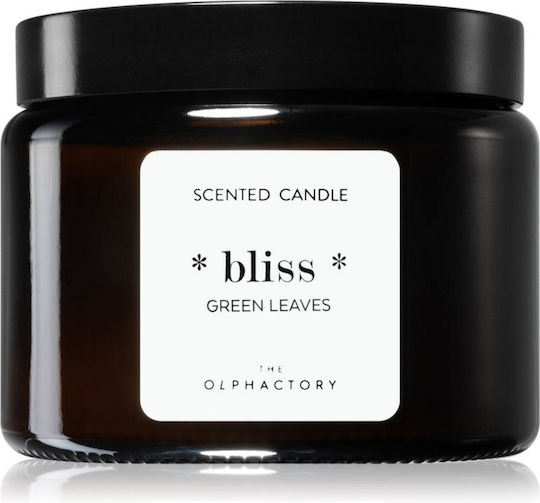 Olphactory Bliss Green Leaves Green Leaves Scented Candle 360 G