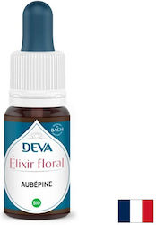 Strength Heart During Loss Separation Experience Hawthorn Bach Method Drops 15 Ml