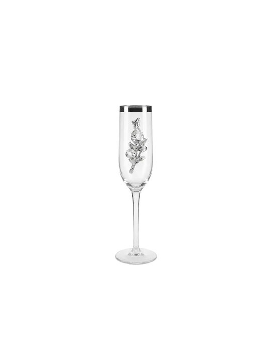Bohemia Champagnerglas aus Glas Kelch
