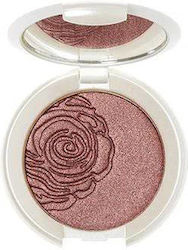 CBN Laboratories Source Beaute 49 3gr