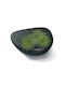 Ethick Kunststoff Blumentopf Graphit