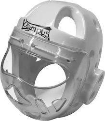 Foam Headgear Full Protection Pc Mask Blue Foam Headgear Full Protection Pc Mask Blue