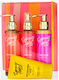 Avgerinos Cosmetics Summer Glow Set