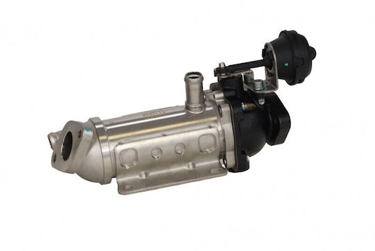 EGR Kühler Austausch Renault Trafic 01 8200953620