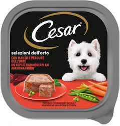 Cesar Wet Dog Food 300gr Cesar Wet Dog Food 300gr