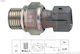 Fiat Ducato Öl Drucksensor 94 1.9 Td 113182