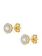 Gold Stud Earrings with Stones