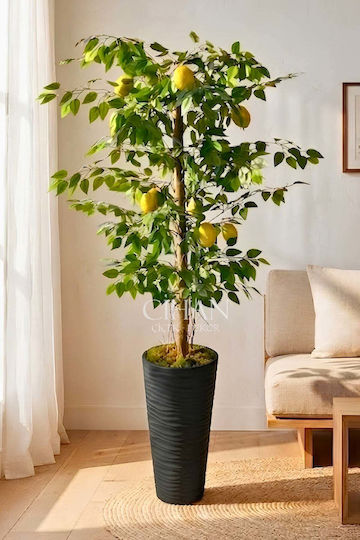 SteweHome Dekoratives Künstliches Zitronenbaum Baum Im Freien Schwarz