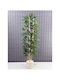 Stewehome Decorative Bamboo Tree Wicker Rattan Pot Wooden Detail Artificial Leaves 3 Trunks White 14x14x12 Cm