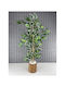 Stewehome Artificial Bamboo Plant Dense Leaves Benjamin Wooden Pot 3 Stems Beige 12x13 Cm