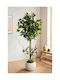 Stewehome Artificial Tree Round Pot Decorative Living Room Plant White