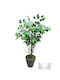 SteweHome Monokomos Thámnos Fysikís Ópsis Déntro Prásina Fýlla Prásino