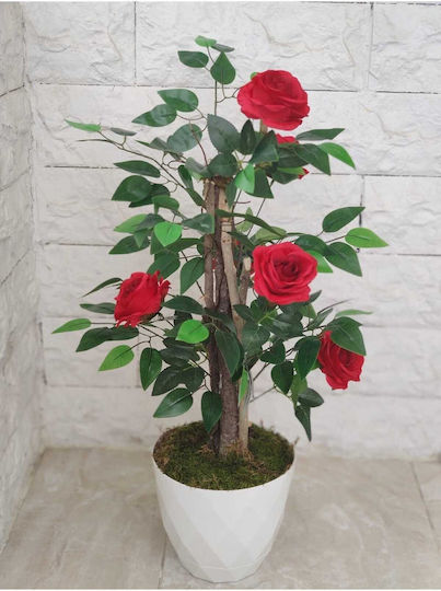 Stewehome S Rose Shrub White Luxury Pot Natural Appearance Red