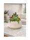 Stewehome Dekorative Topfpflasche aus Beton Kaktus Sukkulenten Bonsai Creme 15x10 cm