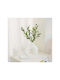 Stewehome Decorative Olive Branch 6 Green Olives