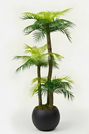 Stewehome Palmier Artificial 3 Tulpini Modern Recipient Sferic Negru