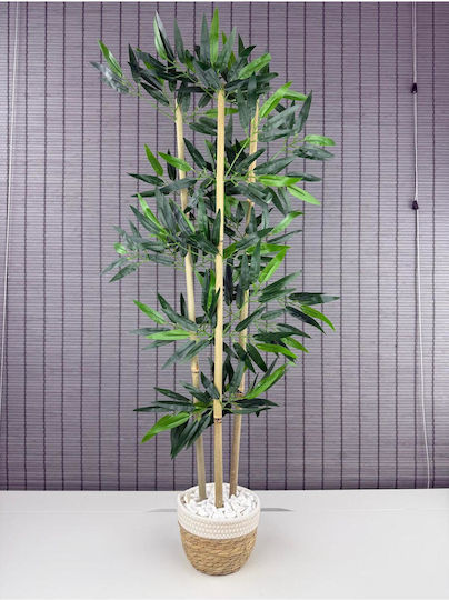 Stewehome Dekoratives Bambusbaum Geflochtene Korb Pflanzgefäß Weiß Baumwolle 3 Stämme Weiß 16x12x81 cm