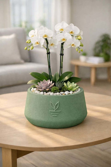 Stewehome Decorative Concrete Pot Cactus Succulent Bonsai Green 15x10 Cm
